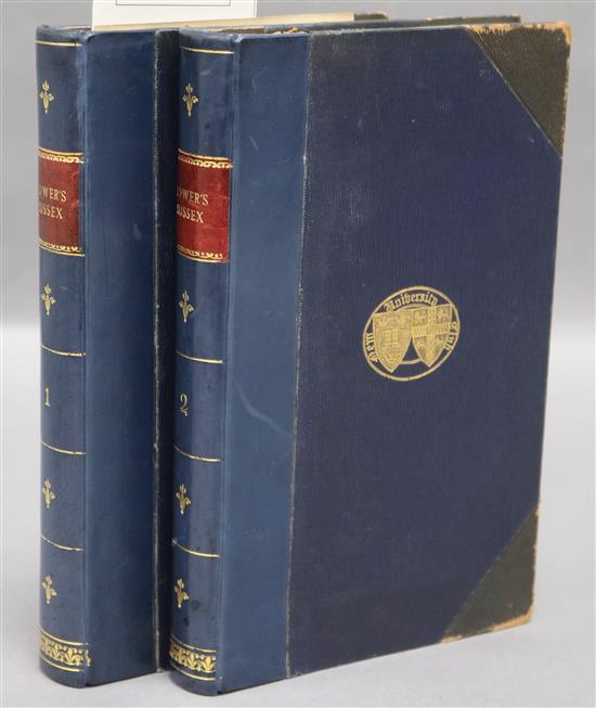 Lower, Mark Antony - A Compendious History of Sussex, 2 vols, 8vo, rebacked half blue morocco, ex libris, Lewes 1870